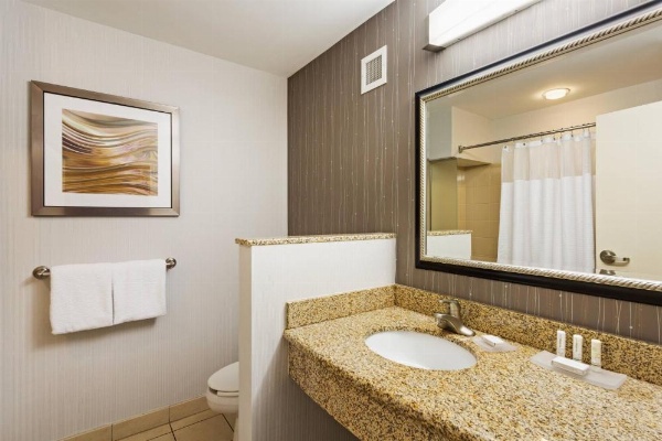 Courtyard by Marriott Knoxville Airport Alcoa image 11